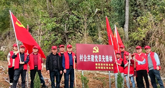 村企共建，共植先鋒林