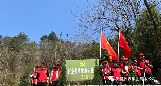 黨建強(qiáng)引領(lǐng)，共植先鋒林
